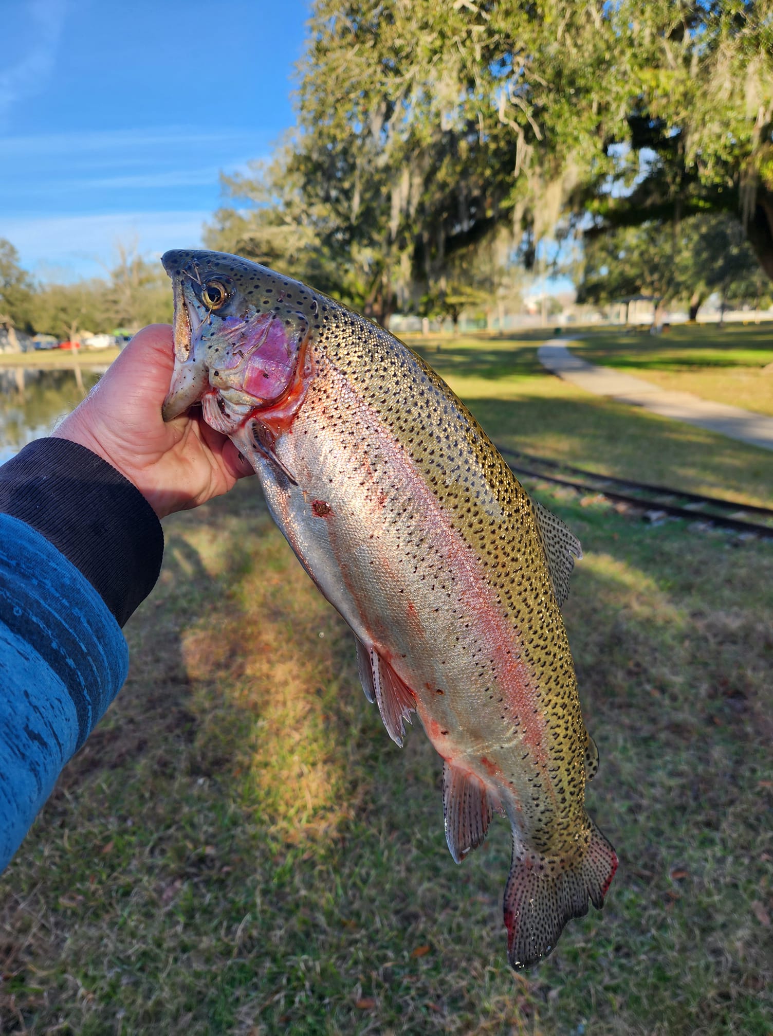 Rainbow Trout have been restocked at the Bayou Country Sports Park! – The  Times of Houma/Thibodaux